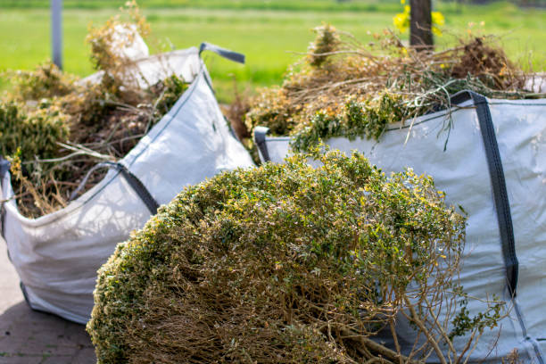 Best Trash Removal Near Me  in Eslon, CA